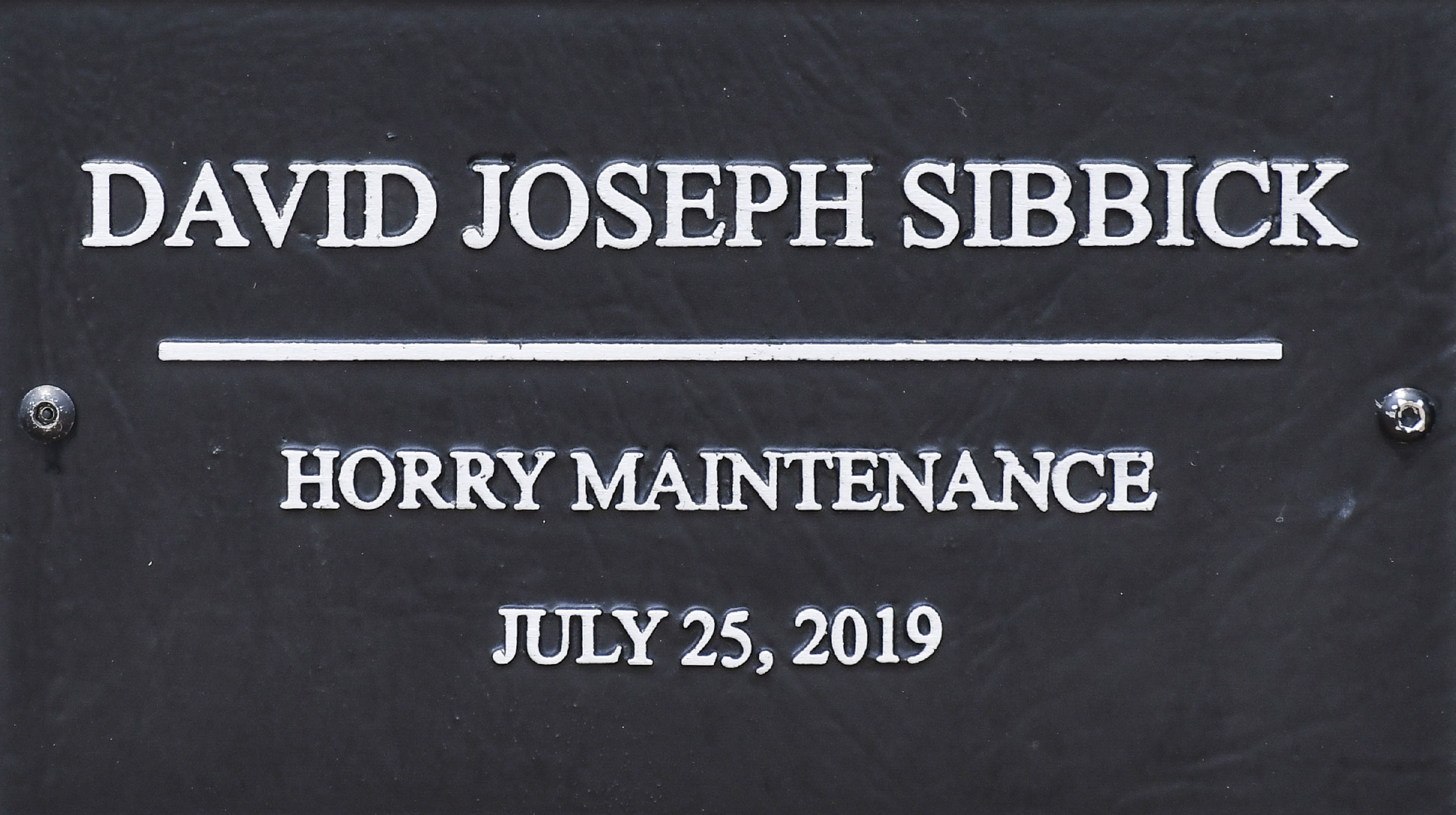 SCDOT Worker David Joseph Sibbick - Horry Maintenance - July 25, 2019 