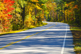 winding road along a fall colored trees